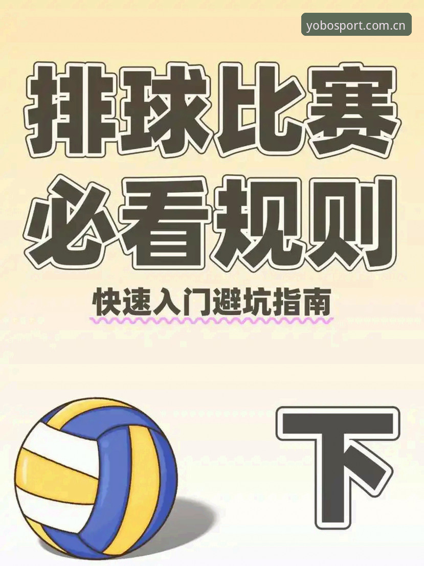 如何高效使用yobo体育赛事数据？一份新手必备指南